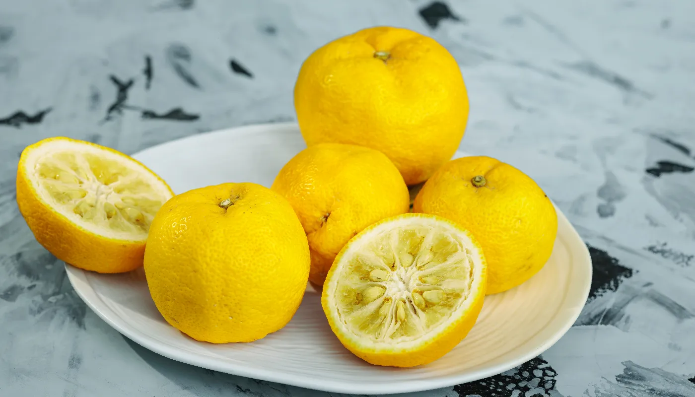 https://www.guels-wohngefluester.de/media/FvUQw1bW7tfTo6V0LhMBIRJNXGpckOAiYE3xSDl5Z8ueP9Hjys.webp