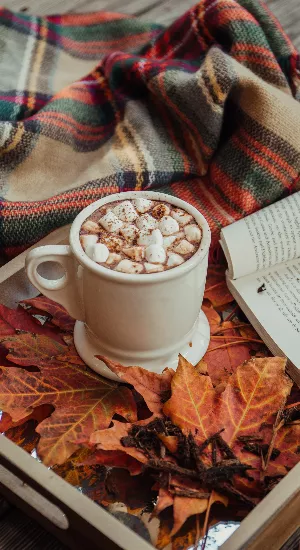 Hello September: Simple Tricks für Dein Zuhause